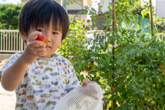 【栄養士が教える！】離乳食中期（生後7～8ヶ月頃）におすすめ！トマトを使用したレシピ3選